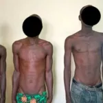 abobo-4-redoutables-microbes-arretes