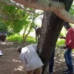 espace-une-fusee-a-genere-les-plus-gros-debris-spatiaux-tombes-sur-terre-depuis-30-ans