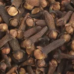se-debarrasser-des-mouches-avec-des-clous-de-girofle-un-secret-de-grande-mere