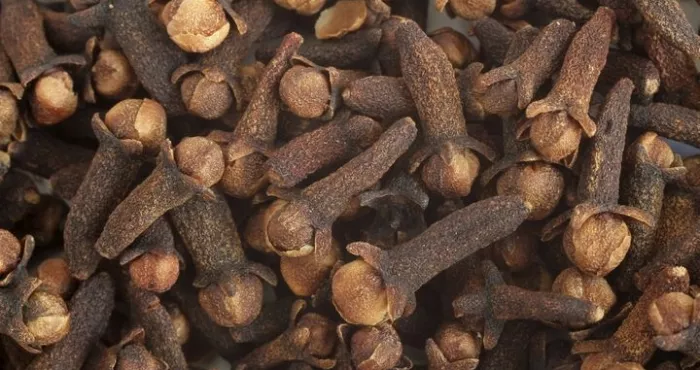 se-debarrasser-des-mouches-avec-des-clous-de-girofle-un-secret-de-grande-mere