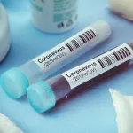 coronavirus-des-etudes-sur-des-singes-infectes-par-le-covid-19-jugees-prometteuses-pour-la-recherche-d-immunite