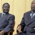 presidentielle-2020-bedie-et-gbagbo-lancent-leur-premier-d-ordre-commun-beugre-mambe-donne-des-consignes-aux-militants-du-rhdp