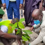 protection-de-l-environnement-3-milliards-d-arbres-plantes-en-cote-d-ivoire-d-ici-2030