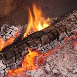 embellissement-du-jardin-une-bonne-astuce-pour-faire-pousser-votre-pelouse