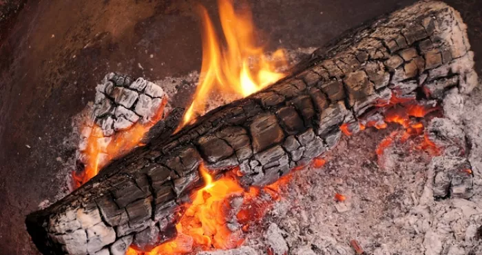embellissement-du-jardin-une-bonne-astuce-pour-faire-pousser-votre-pelouse