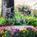 4-astuces-pour-rendre-le-sol-de-son-jardin-plus-fertile