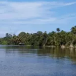 jacqueville-assassinat-en-pleine-lagune-un-pecheur-decoupe-a-la-machette