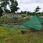 plusieurs-installations-du-cnra-annexees-par-des-individus