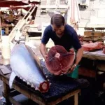 intelligence-artificielle-une-app-pour-evaluer-la-qualite-d-un-poisson