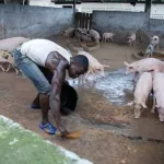 ministere-de-l-agriculture-et-du-developpement-rural-un-vaste-recrutement-de-600-personnes-lance-les-filieres-concernees