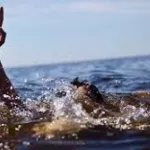 cocody-drame-fuyant-la-police-deux-jeunes-drogues-se-jettent-dans-la-lagune-et-trouvent-la-mort