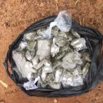 lutte-contre-la-drogue-un-individu-interpelle-avec-du-cannabis