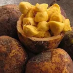 du-jus-de-cocota-ou-jus-de-mad