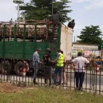 vive-tension-hier-a-l-abattoir-de-port-bouet