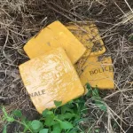 gagnoa-des-blocs-de-cannabis-retrouves-dans-une-clairiere