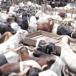 port-bouet-grosse-menace-sur-la-foire-tabaski-la-mairie-veut-porter-plainte-contre-le-gouverneur-beugre-mambe