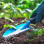 agriculture-un-engrais-pour-rendre-le-sol-fertile-pendant-400-ans-decouvert