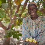 face-a-la-covid-19-comment-olam-a-readapte-son-programme-phare