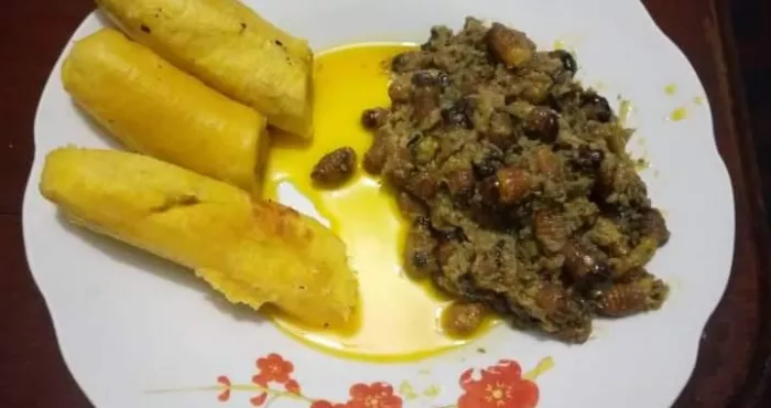 chenilles-de-gingimbre