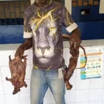 abobo-il-vole-un-sac-de-viande-de-brousse-dans-un-maquis-la-proprietaire-convoquee-au-poste-de-police