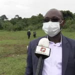 le-conseil-hevea-palmier-a-huile-plante-20-000-arbres