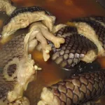 n-zuekokore-bongouanou-la-consommation-d-une-soupe-de-serpent-tourne-au-drame-un-mort-et-plusieurs-malades