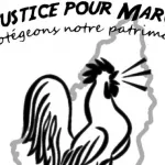 plus-de-74-000-personnes-en-colere-reclament-justice-pour-un-coq-tue-dans-un-village