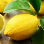 les-bienfaits-du-citron-sur-la-peau