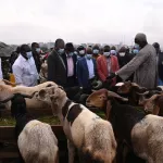 fermeture-des-frontieres-cote-d-ivoire-mali-le-ministre-moussa-dosso-rassure-aucune-penurie-en-betail-ne-sera-constatee-sur-le-marche