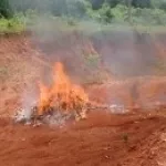 abengourou-pres-d-une-tonne-de-drogue-et-de-stupefiants-incineree-dans-l-indenie