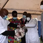 rage-12-000-personnes-exposees-par-an-en-cote-d-ivoire-les-grandes-actions-du-ministre-dosso-moussa-pour-inverser-la-tendance