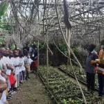 journee-nationale-du-cacao-et-du-chocolat-des-enfants-du-primaire-decouvre-une-plantation-de-cacao
