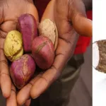 sante-voici-les-composants-de-base-d-attote