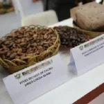 journee-nationale-du-cacao-et-chocolat-ce-que-des-exposants-de-la-7eme-edition-ont-offert-aux-visiteurs