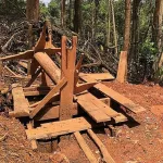 crime-passionnel-un-orpailleur-tue-sa-femme-parce-qu-elle-ne-veut-plus-de-lui