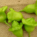 sante-voici-les-avantages-de-consommer-le-piment