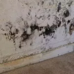 methodologies-pour-nettoyer-un-mur-blanc