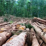 la-cote-d-ivoire-vient-de-franchir-une-autre-etape-de-son-programme-de-reduction-des-emissions-de-gaz-a-effet-de-serre