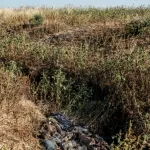 ethiopie-au-moins-600-civils-tues-au-cours-d-un-massacre-perpetre-par-des-miliciens-tigreens