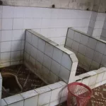 astuces-pour-debarrasser-vos-toilettes-de-l-odeur-de-l-urine