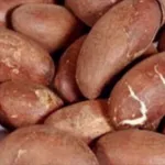 voici-ce-qui-se-passe-lorsque-vous-trempez-le-kola-amer-dans-de-l-eau-de-coco