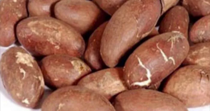 voici-ce-qui-se-passe-lorsque-vous-trempez-le-kola-amer-dans-de-l-eau-de-coco