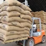 campagne-cacaoyere-2020-2021-le-conseil-cafe-cacao-fait-des-eclairages-sur-la-commercialisation