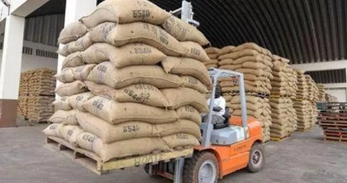 campagne-cacaoyere-2020-2021-le-conseil-cafe-cacao-fait-des-eclairages-sur-la-commercialisation