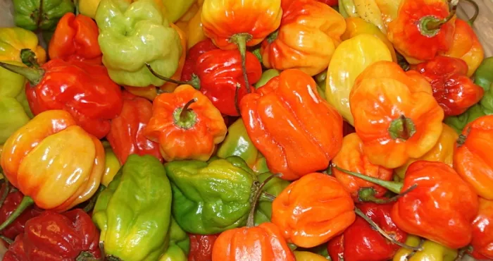 mangez-le-piment-pour-vivre-plus-longtemps