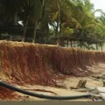 cote-d-ivoire-les-journalistes-sensibilises-sur-la-loi-relative-a-l-amenagement-a-la-protection-et-a-la-gestion-integree-du-littoral