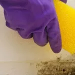 astuces-pour-enlever-la-moisissure-dans-la-douche