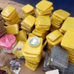 plus-de-300-blocs-de-cannabis-saisis-a-azurreti