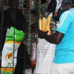 vente-de-stupefiants-un-livreur-de-pain-pris-la-main-dans-le-sac