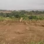 achat-de-terrain-dans-le-grand-abidjan-voici-les-gros-pieges-a-eviter